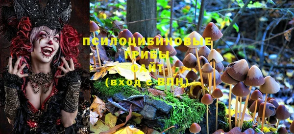 прущая мука Бородино