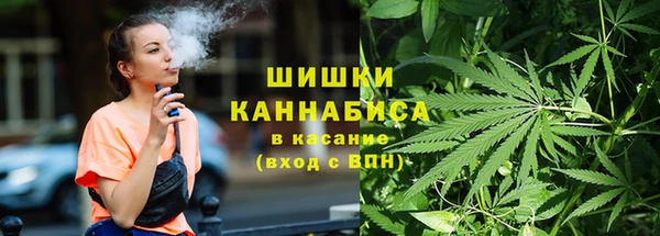 прущая мука Бородино